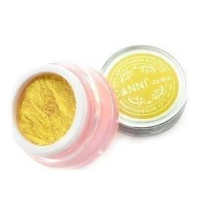 NAIL ART CANNY STARRY GEL.jpg